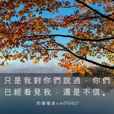 Picture 03 - 約 翰 福 音 6:36 CUVT - 只 是 我 對 你 們 說 過 ， 你 們 已 - Bible Verse Picture