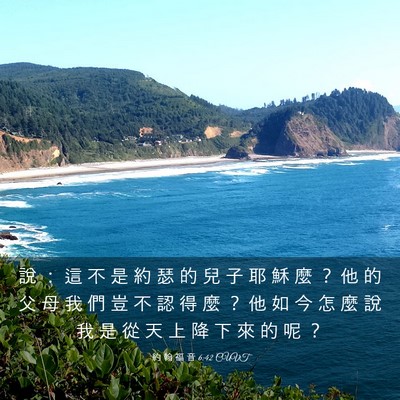 Picture 03 - 約 翰 福 音 6:42 CUVT - 說 ： 這 不 是 約 瑟 的 兒 子 耶 穌 - Bible Verse Picture
