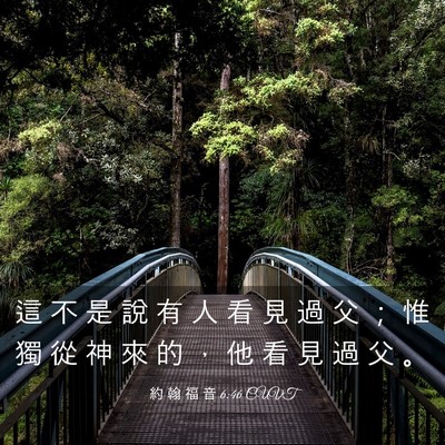 Picture 03 - 約 翰 福 音 6:46 CUVT - 這 不 是 說 有 人 看 見 過 父 ； 惟 - Bible Verse Picture