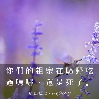 Picture 03 - 約 翰 福 音 6:49 CUVT - 你 們 的 祖 宗 在 曠 野 吃 過 嗎 哪 - Bible Verse Picture