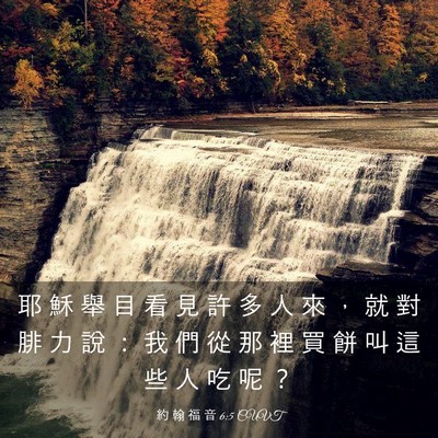Picture 03 - 約 翰 福 音 6:5 CUVT - 耶 穌 舉 目 看 見 許 多 人 來 ， 就 - Bible Verse Picture