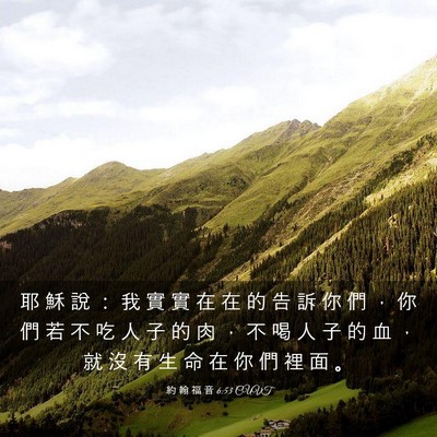 Picture 03 - 約 翰 福 音 6:53 CUVT - 耶 穌 說 ： 我 實 實 在 在 的 告 訴 - Bible Verse Picture