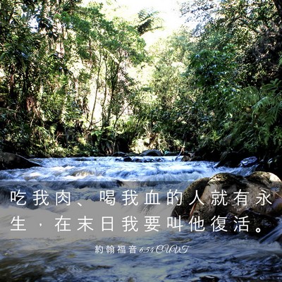 Picture 03 - 約 翰 福 音 6:54 CUVT - 吃 我 肉 、 喝 我 血 的 人 就 有 永 - Bible Verse Picture