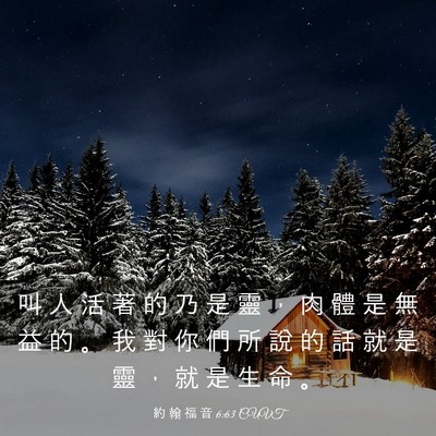 Picture 03 - 約 翰 福 音 6:63 CUVT - 叫 人 活 著 的 乃 是 靈 ， 肉 體 是 - Bible Verse Picture