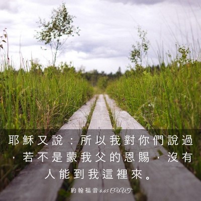 Picture 03 - 約 翰 福 音 6:65 CUVT - 耶 穌 又 說 ： 所 以 我 對 你 們 說 - Bible Verse Picture
