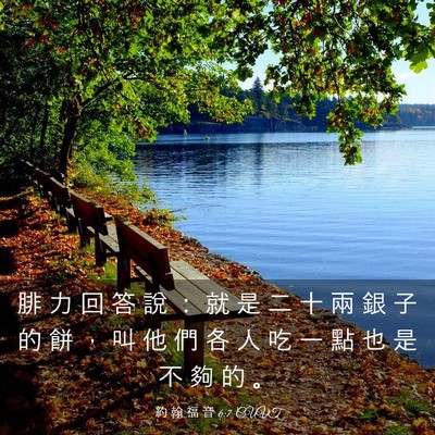 Picture 03 - 約 翰 福 音 6:7 CUVT - 腓 力 回 答 說 ： 就 是 二 十 兩 銀 - Bible Verse Picture