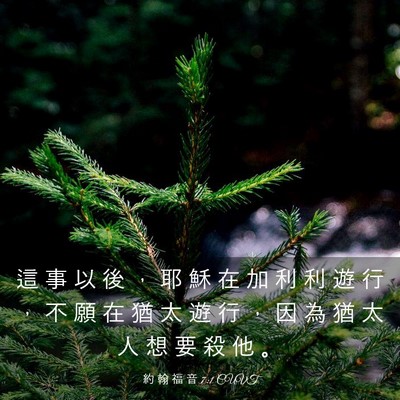 Picture 03 - 約 翰 福 音 7:1 CUVT - 這 事 以 後 ， 耶 穌 在 加 利 利 遊 - Bible Verse Picture
