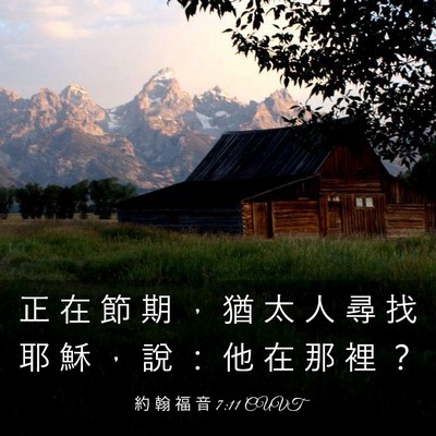 Picture 03 - 約 翰 福 音 7:11 CUVT - 正 在 節 期 ， 猶 太 人 尋 找 耶 穌 - Bible Verse Picture