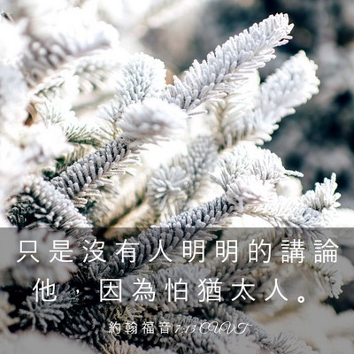 Picture 03 - 約 翰 福 音 7:13 CUVT - 只 是 沒 有 人 明 明 的 講 論 他 ， - Bible Verse Picture
