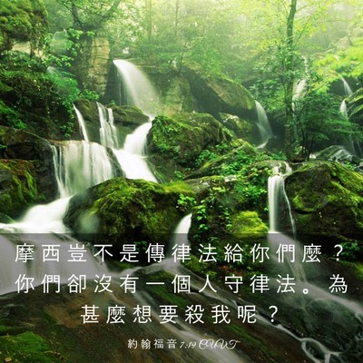 Picture 03 - 約 翰 福 音 7:19 CUVT - 摩 西 豈 不 是 傳 律 法 給 你 們 麼 - Bible Verse Picture