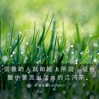 Picture 03 - 約 翰 福 音 7:38 CUVT - 信 我 的 人 就 如 經 上 所 說 ： 從 - Bible Verse Picture