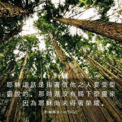 Picture 03 - 約 翰 福 音 7:39 CUVT - 耶 穌 這 話 是 指 著 信 他 之 人 要 - Bible Verse Picture
