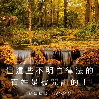 Picture 03 - 約 翰 福 音 7:49 CUVT - 但 這 些 不 明 白 律 法 的 百 姓 是 - Bible Verse Picture