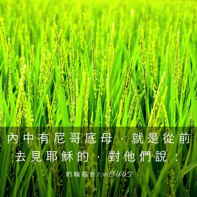 Picture 03 - 約 翰 福 音 7:50 CUVT - 內 中 有 尼 哥 底 母 ， 就 是 從 前 - Bible Verse Picture