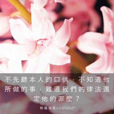 Picture 03 - 約 翰 福 音 7:51 CUVT - 不 先 聽 本 人 的 口 供 ， 不 知 道 - Bible Verse Picture