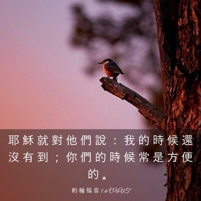 Picture 03 - 約 翰 福 音 7:6 CUVT - 耶 穌 就 對 他 們 說 ： 我 的 時 候 - Bible Verse Picture