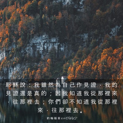 Picture 03 - 約 翰 福 音 8:14 CUVT - 耶 穌 說 ： 我 雖 然 為 自 己 作 見 - Bible Verse Picture