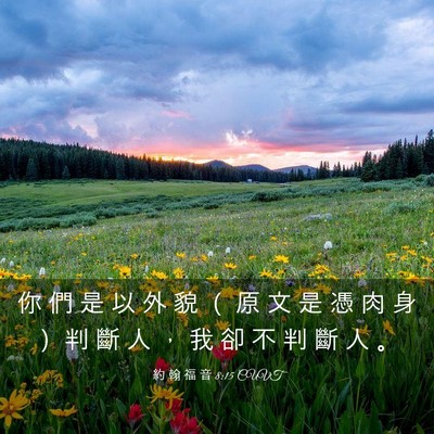 Picture 03 - 約 翰 福 音 8:15 CUVT - 你 們 是 以 外 貌 （ 原 文 是 憑 肉 - Bible Verse Picture