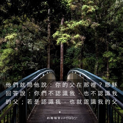 Picture 03 - 約 翰 福 音 8:19 CUVT - 他 們 就 問 他 說 ： 你 的 父 在 那 - Bible Verse Picture