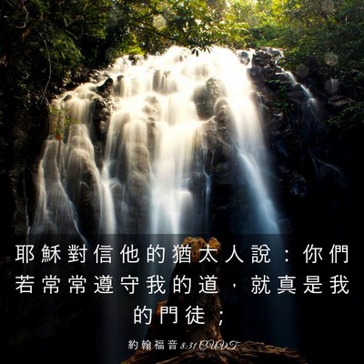 Picture 03 - 約 翰 福 音 8:31 CUVT - 耶 穌 對 信 他 的 猶 太 人 說 ： 你 - Bible Verse Picture