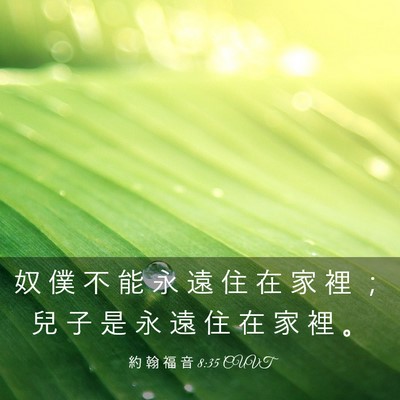 Picture 03 - 約 翰 福 音 8:35 CUVT - 奴 僕 不 能 永 遠 住 在 家 裡 ； 兒 - Bible Verse Picture