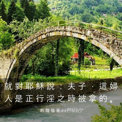 Picture 03 - 約 翰 福 音 8:4 CUVT - 就 對 耶 穌 說 ： 夫 子 ， 這 婦 人 - Bible Verse Picture