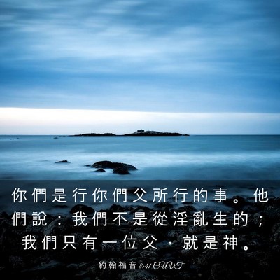 Picture 03 - 約 翰 福 音 8:41 CUVT - 你 們 是 行 你 們 父 所 行 的 事 。 - Bible Verse Picture