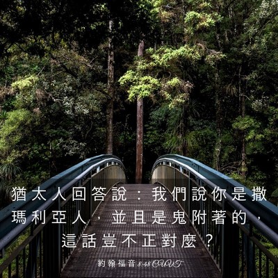 Picture 03 - 約 翰 福 音 8:48 CUVT - 猶 太 人 回 答 說 ： 我 們 說 你 是 - Bible Verse Picture