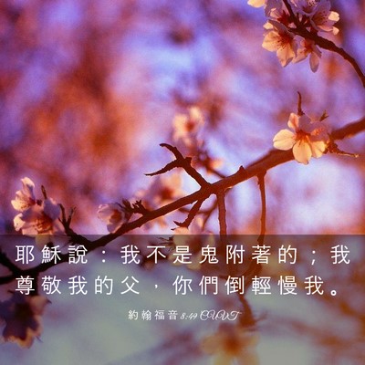 Picture 03 - 約 翰 福 音 8:49 CUVT - 耶 穌 說 ： 我 不 是 鬼 附 著 的 ； - Bible Verse Picture