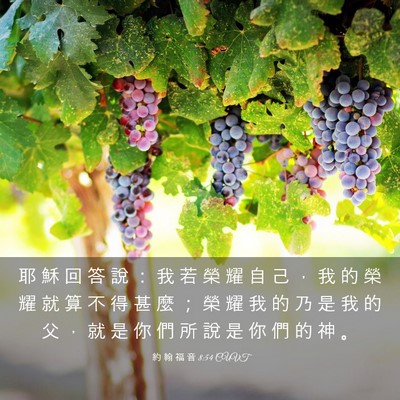 Picture 03 - 約 翰 福 音 8:54 CUVT - 耶 穌 回 答 說 ： 我 若 榮 耀 自 己 - Bible Verse Picture