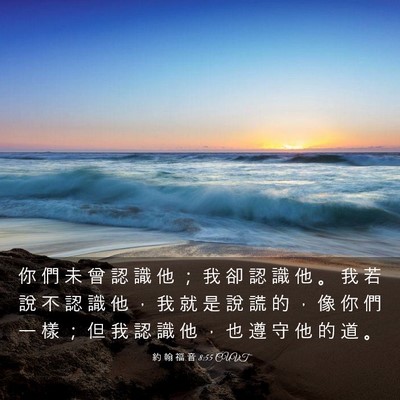 Picture 03 - 約 翰 福 音 8:55 CUVT - 你 們 未 曾 認 識 他 ； 我 卻 認 識 - Bible Verse Picture