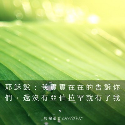 Picture 03 - 約 翰 福 音 8:58 CUVT - 耶 穌 說 ： 我 實 實 在 在 的 告 訴 - Bible Verse Picture