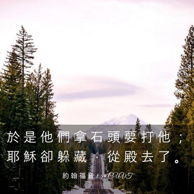 Picture 03 - 約 翰 福 音 8:59 CUVT - 於 是 他 們 拿 石 頭 要 打 他 ； 耶 - Bible Verse Picture