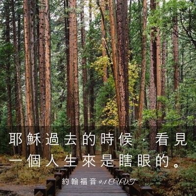 Picture 03 - 約 翰 福 音 9:1 CUVT - 耶 穌 過 去 的 時 候 ， 看 見 一 個 - Bible Verse Picture