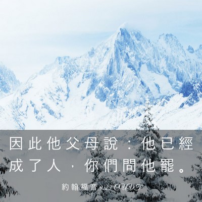 Picture 03 - 約 翰 福 音 9:23 CUVT - 因 此 他 父 母 說 ： 他 已 經 成 了 - Bible Verse Picture