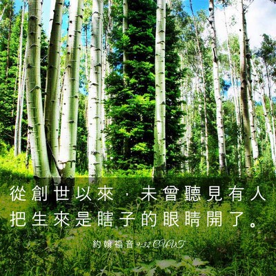 Picture 03 - 約 翰 福 音 9:32 CUVT - 從 創 世 以 來 ， 未 曾 聽 見 有 人 - Bible Verse Picture