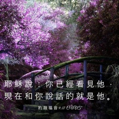 Picture 03 - 約 翰 福 音 9:37 CUVT - 耶 穌 說 ： 你 已 經 看 見 他 ， 現 - Bible Verse Picture