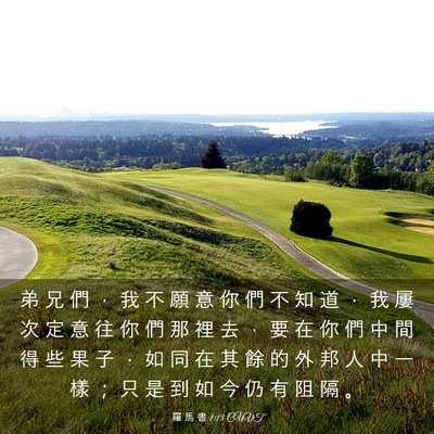 Picture 03 - 羅 馬 書 1:13 CUVT - 弟 兄 們 ， 我 不 願 意 你 們 不 知 - Bible Verse Picture