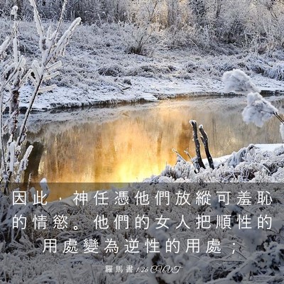 Picture 03 - 羅 馬 書 1:26 CUVT - 因 此 ， 神 任 憑 他 們 放 縱 可 羞 - Bible Verse Picture