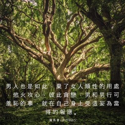 Picture 03 - 羅 馬 書 1:27 CUVT - 男 人 也 是 如 此 ， 棄 了 女 人 順 - Bible Verse Picture