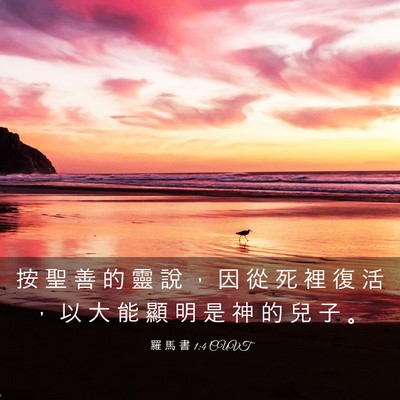 Picture 03 - 羅 馬 書 1:4 CUVT - 按 聖 善 的 靈 說 ， 因 從 死 裡 復 - Bible Verse Picture
