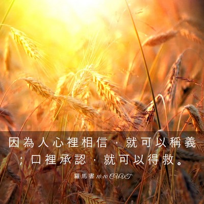 Picture 03 - 羅 馬 書 10:10 CUVT - 因 為 人 心 裡 相 信 ， 就 可 以 稱 - Bible Verse Picture