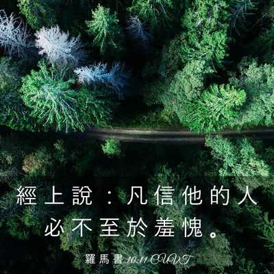 Picture 03 - 羅 馬 書 10:11 CUVT - 經 上 說 ： 凡 信 他 的 人 必 不 至 - Bible Verse Picture