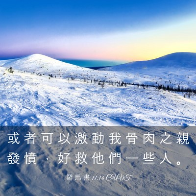 Picture 03 - 羅 馬 書 11:14 CUVT - 或 者 可 以 激 動 我 骨 肉 之 親 發 - Bible Verse Picture