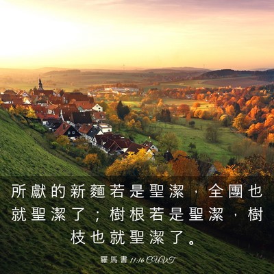 Picture 03 - 羅 馬 書 11:16 CUVT - 所 獻 的 新 麵 若 是 聖 潔 ， 全 團 - Bible Verse Picture