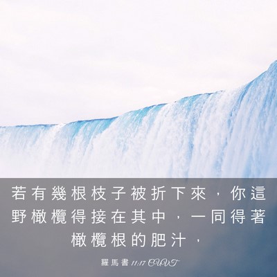 Picture 03 - 羅 馬 書 11:17 CUVT - 若 有 幾 根 枝 子 被 折 下 來 ， 你 - Bible Verse Picture