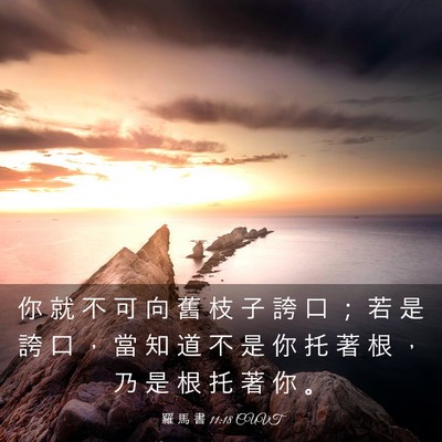 Picture 03 - 羅 馬 書 11:18 CUVT - 你 就 不 可 向 舊 枝 子 誇 口 ； 若 - Bible Verse Picture