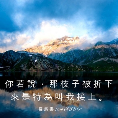 Picture 03 - 羅 馬 書 11:19 CUVT - 你 若 說 ， 那 枝 子 被 折 下 來 是 - Bible Verse Picture