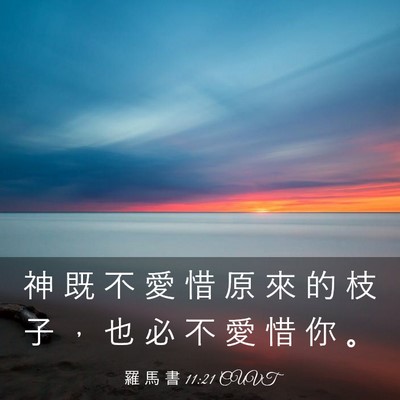 Picture 03 - 羅 馬 書 11:21 CUVT - 神 既 不 愛 惜 原 來 的 枝 子 ， 也 - Bible Verse Picture