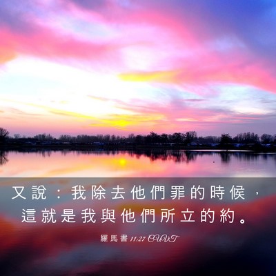 Picture 03 - 羅 馬 書 11:27 CUVT - 又 說 ： 我 除 去 他 們 罪 的 時 候 - Bible Verse Picture